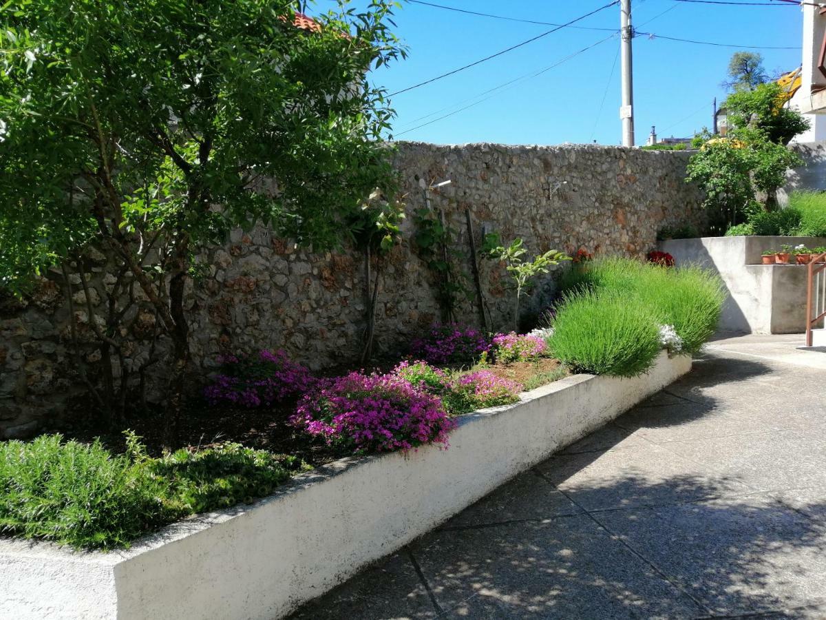 Apartment Vlatka *